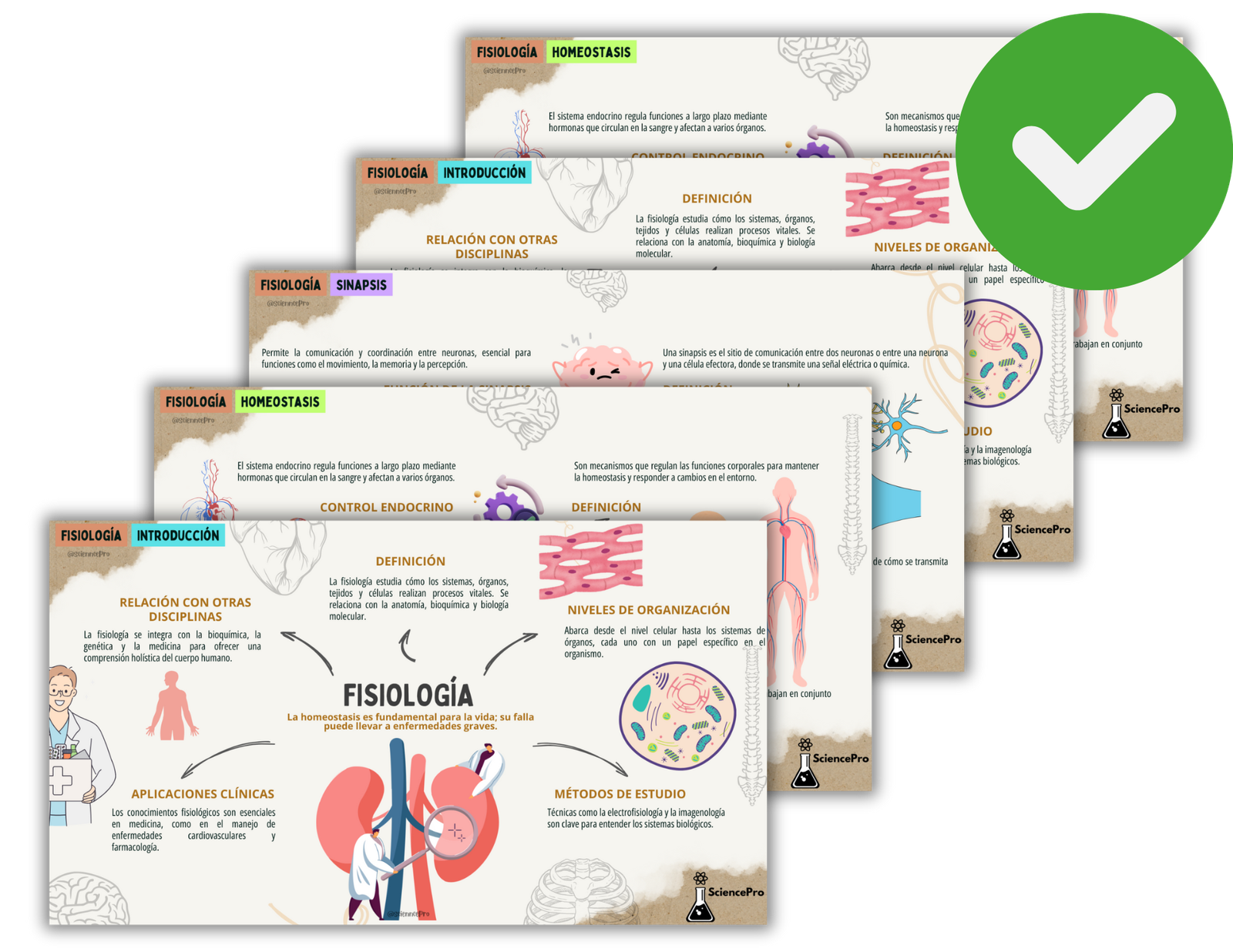 MAPAS MENTALESBIOQUÍMICA (40)