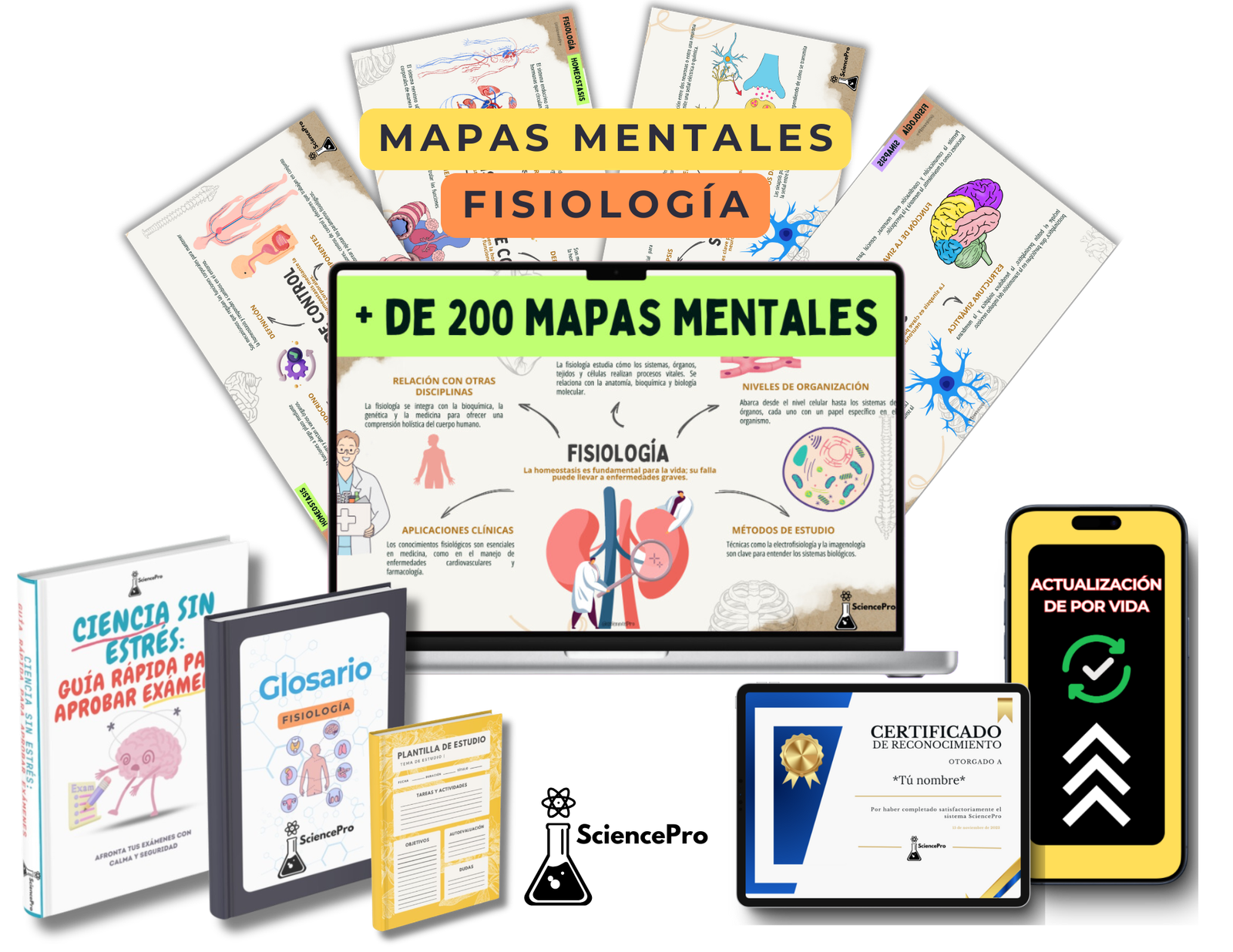 MAPAS MENTALESBIOQUÍMICA (44)