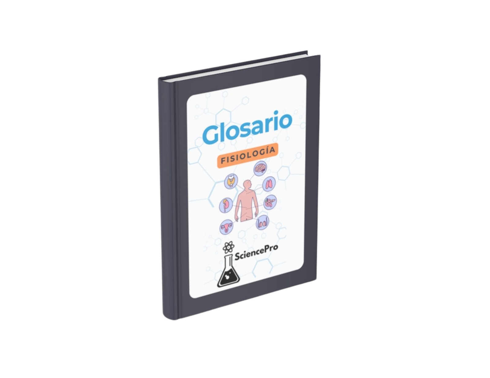 MAPAS MENTALESBIOQUÍMICA (49)