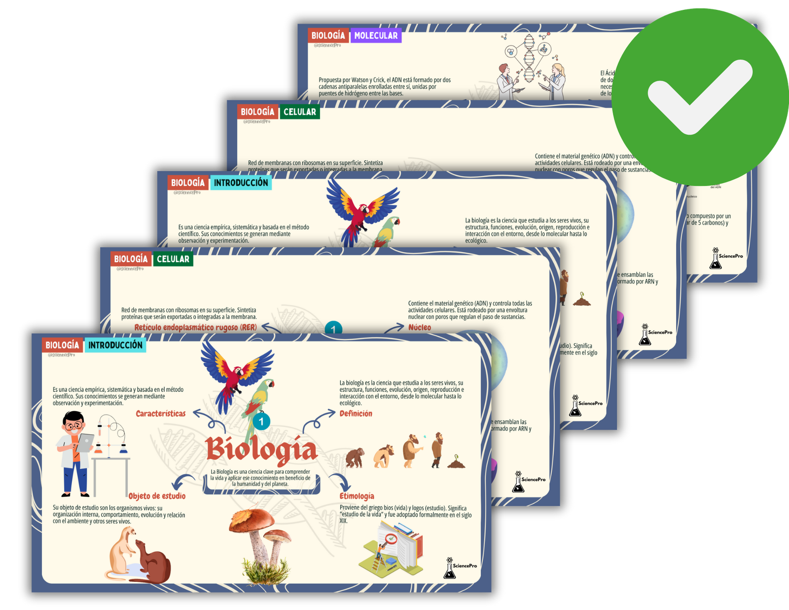 MAPAS MENTALESBIOQUÍMICA (55)