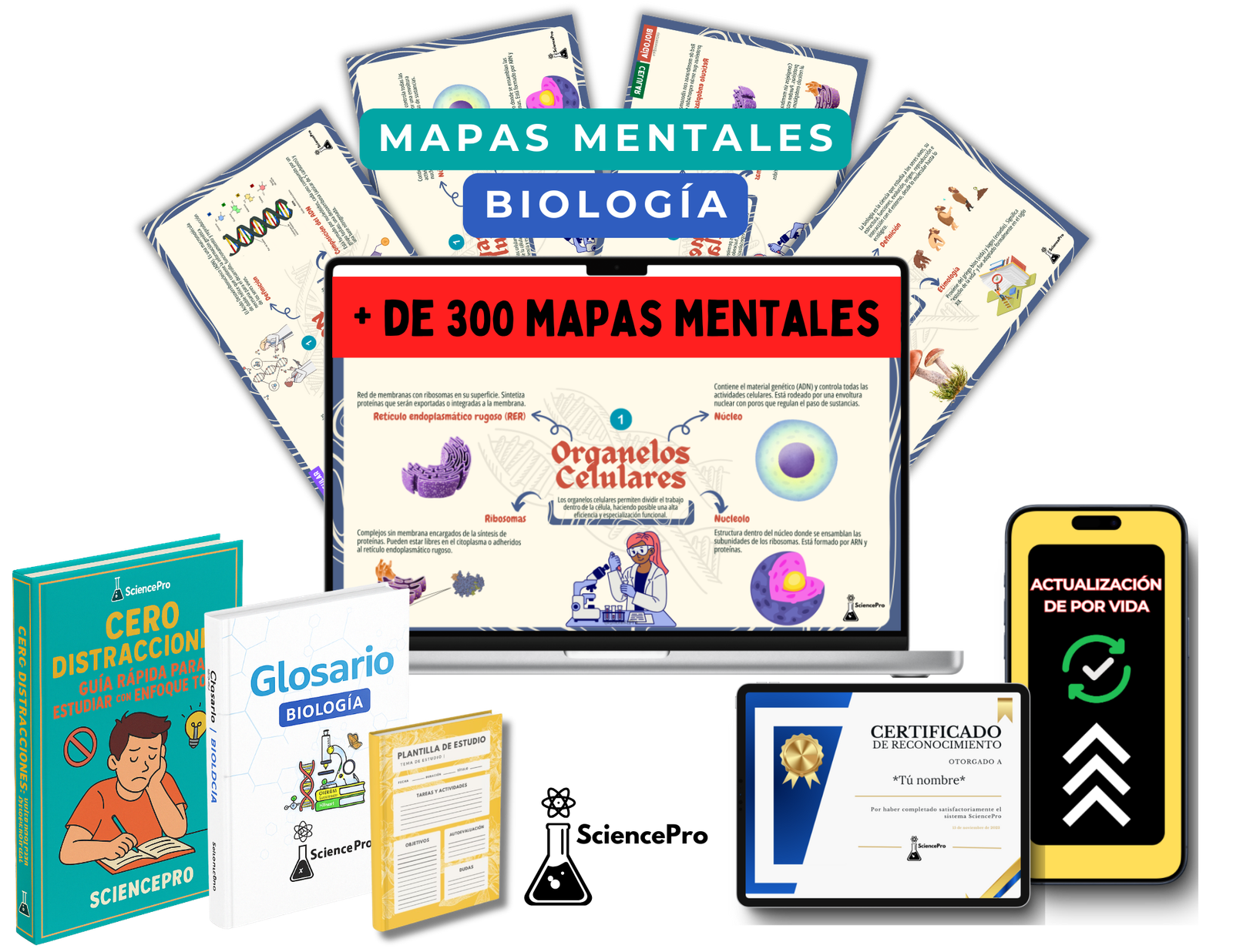 MAPAS MENTALESBIOQUÍMICA (62)