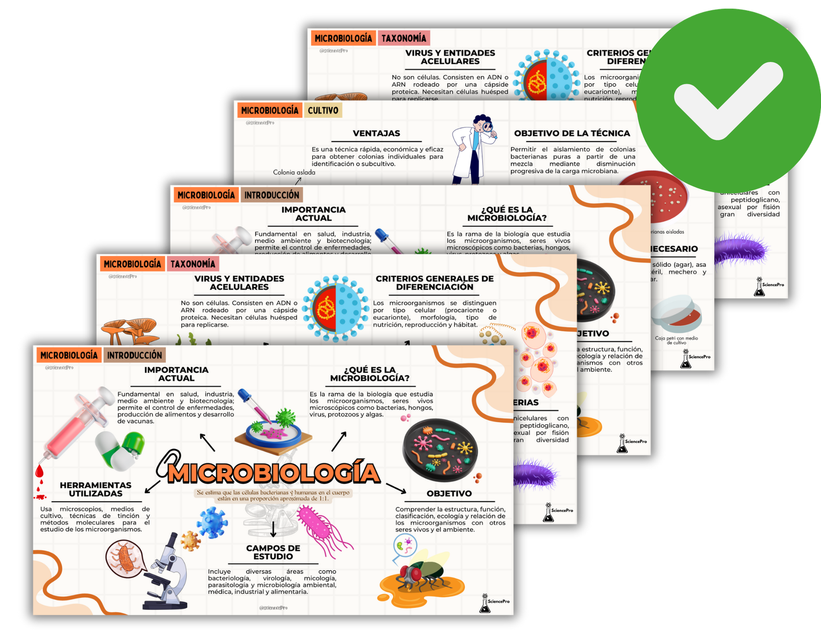 MAPAS MENTALESBIOQUÍMICA (72)
