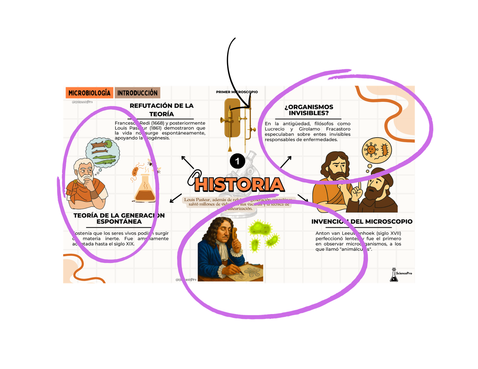 MAPAS MENTALESBIOQUÍMICA (73)