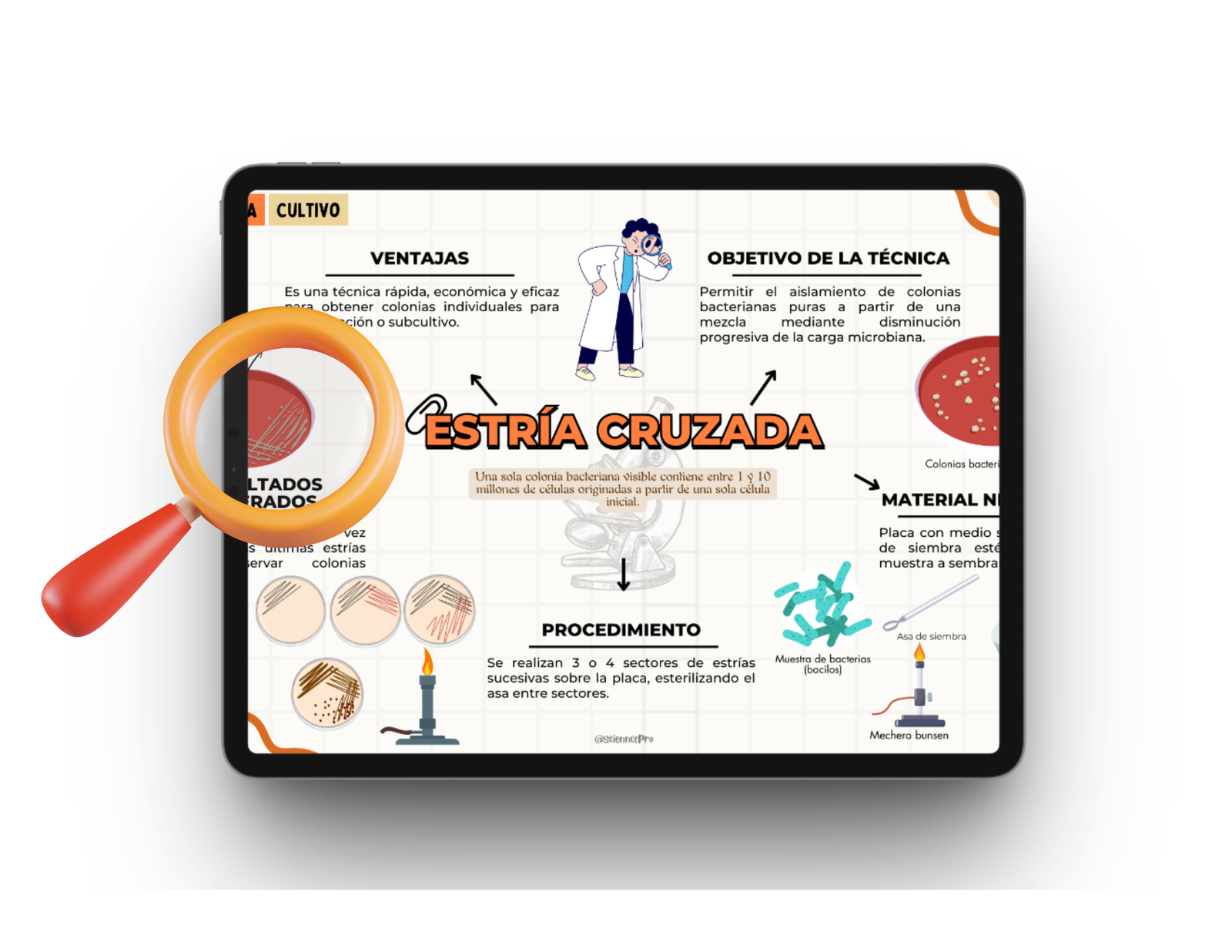 MAPAS MENTALESBIOQUÍMICA (74)