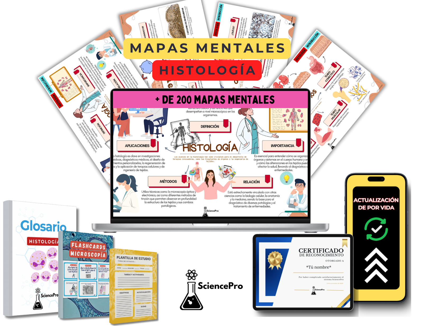 Mockups (32)