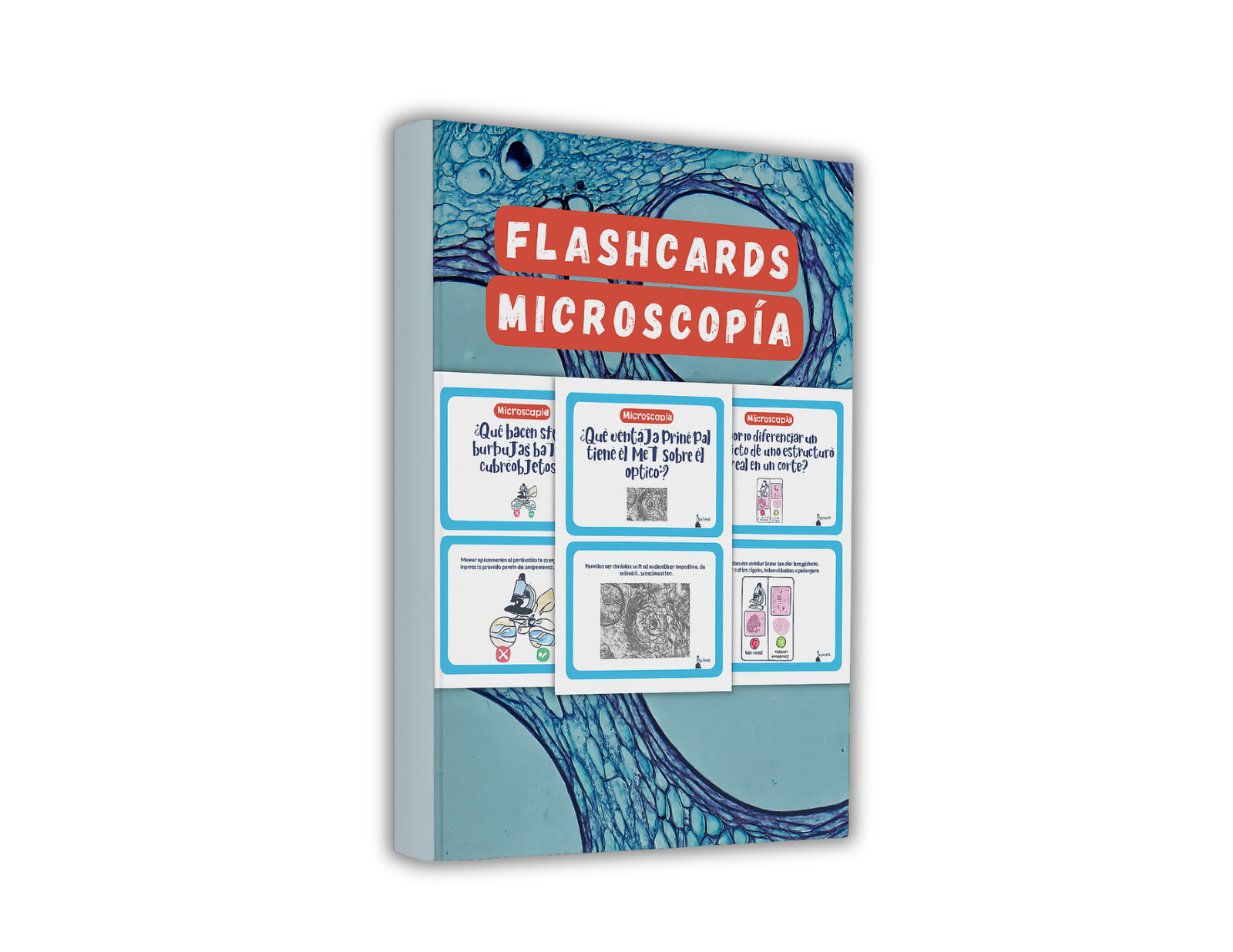Mockups (34)