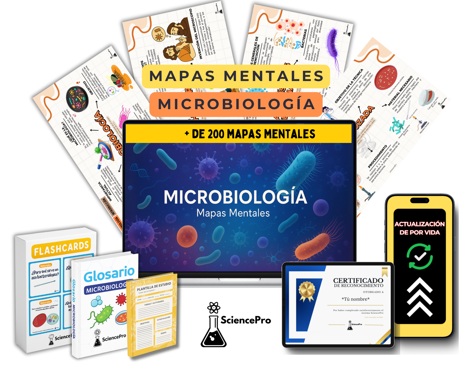 Mockups (41)