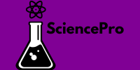 logo 500 (2)