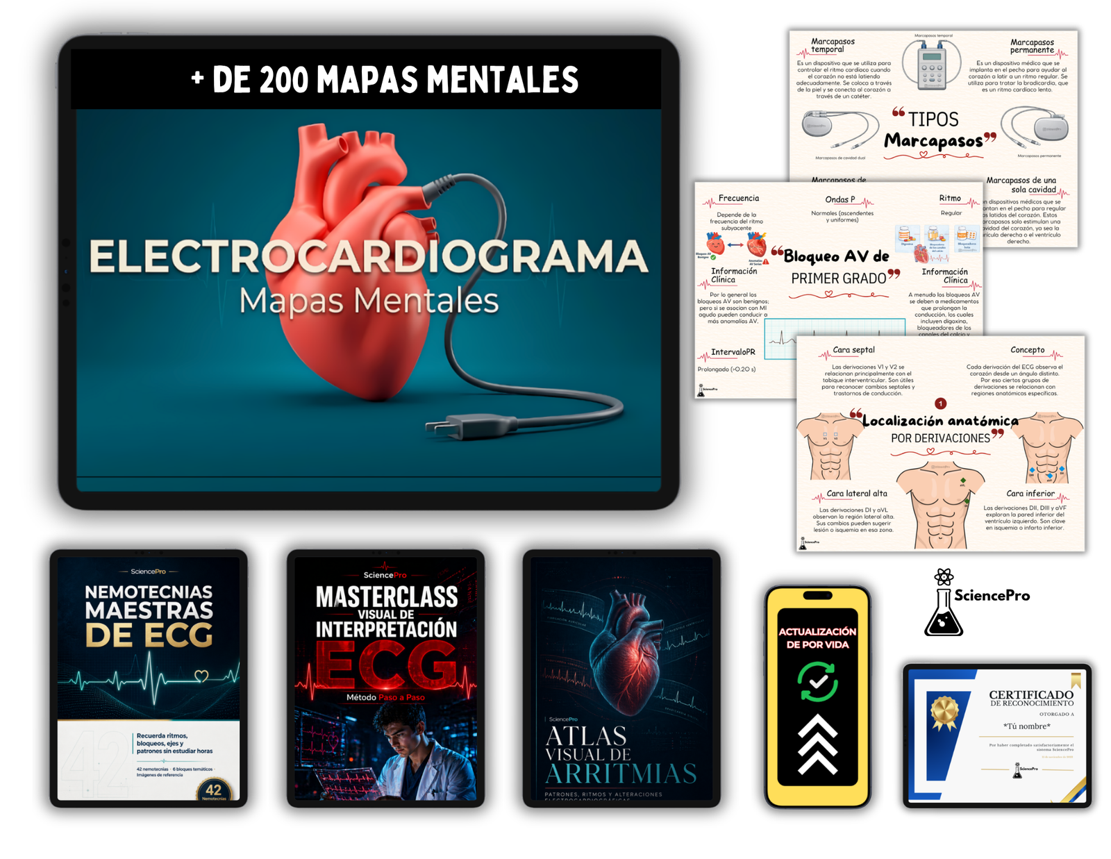 Mockups (69)